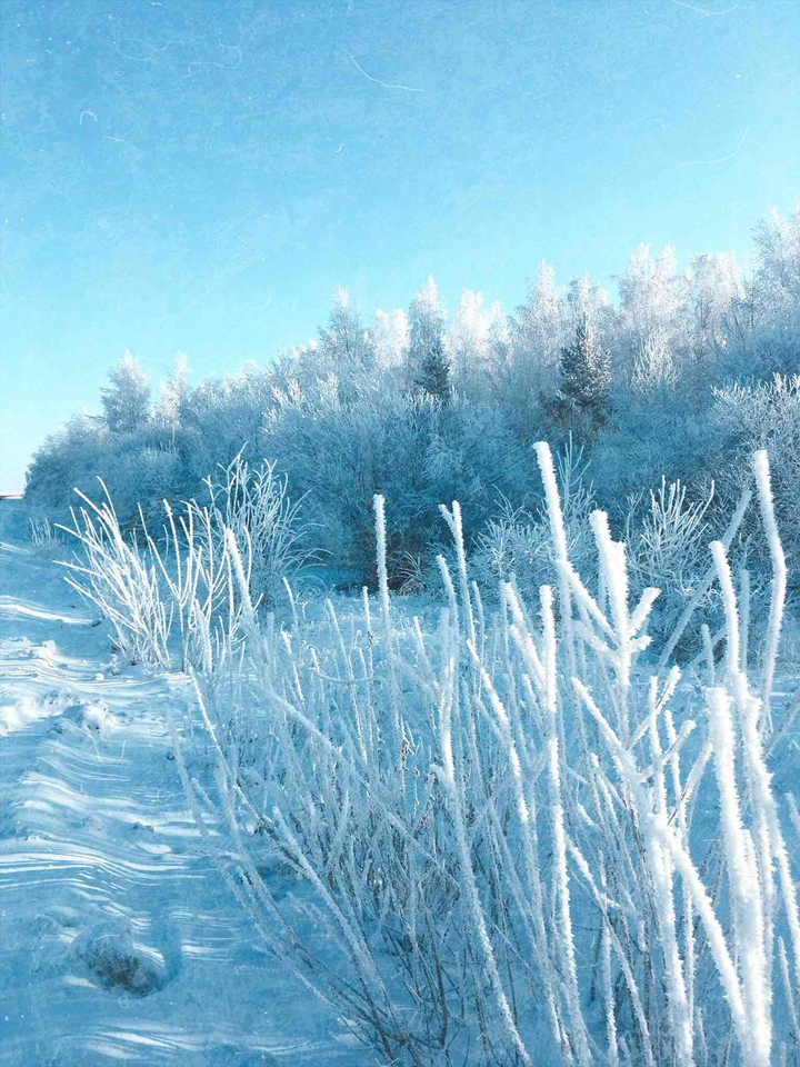 frosty