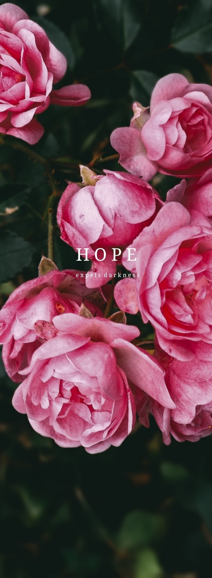 Hope Expels Darkness