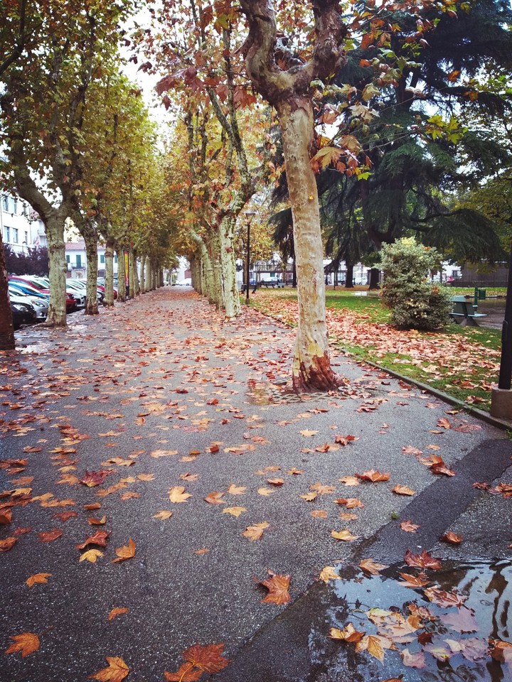 Autunno