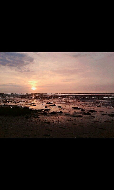 beautiful evening