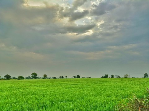 wather photos
