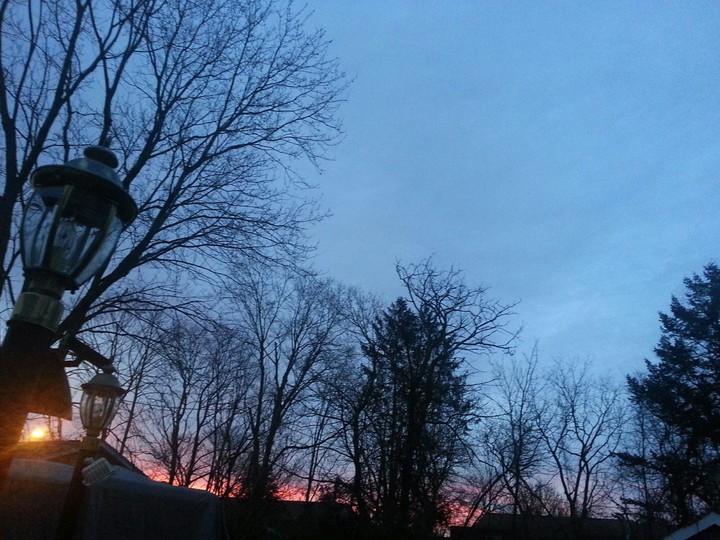 Nature's Beauty