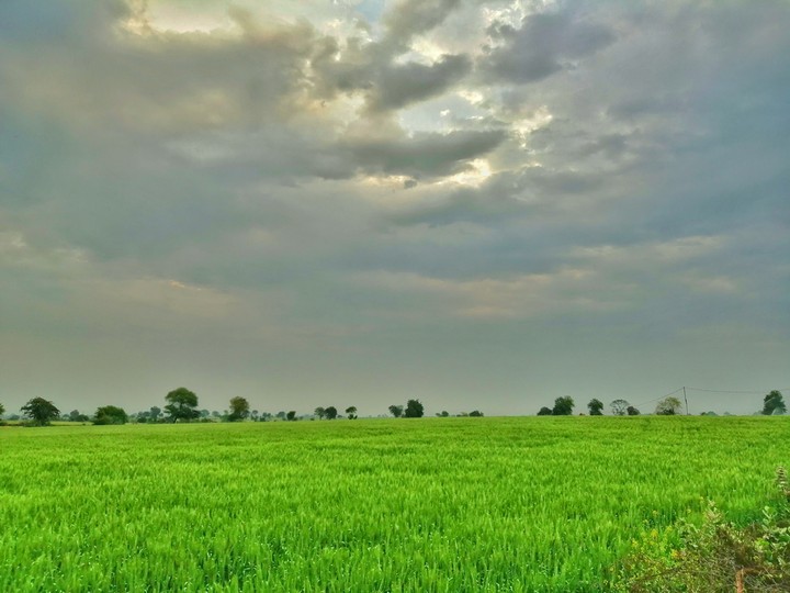 wather photos