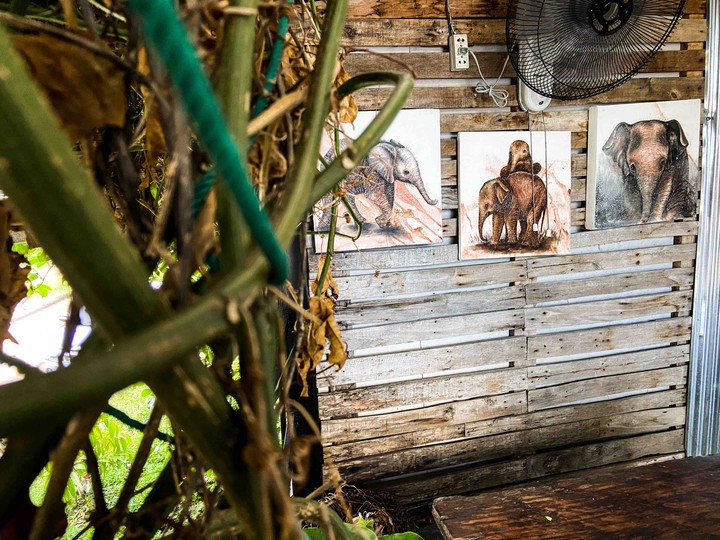 sketches of Koh Samui