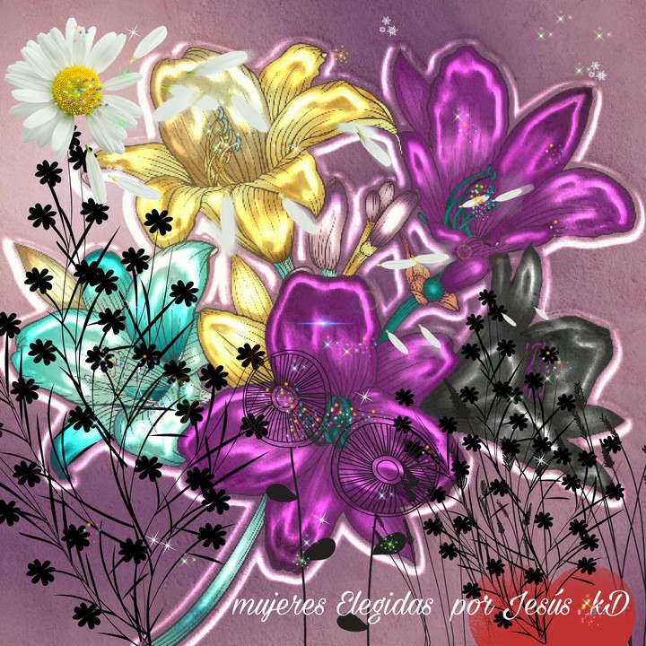 Flowers   bloom 