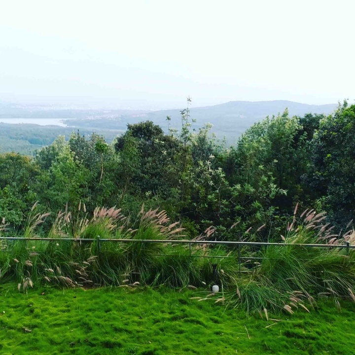 greenery
