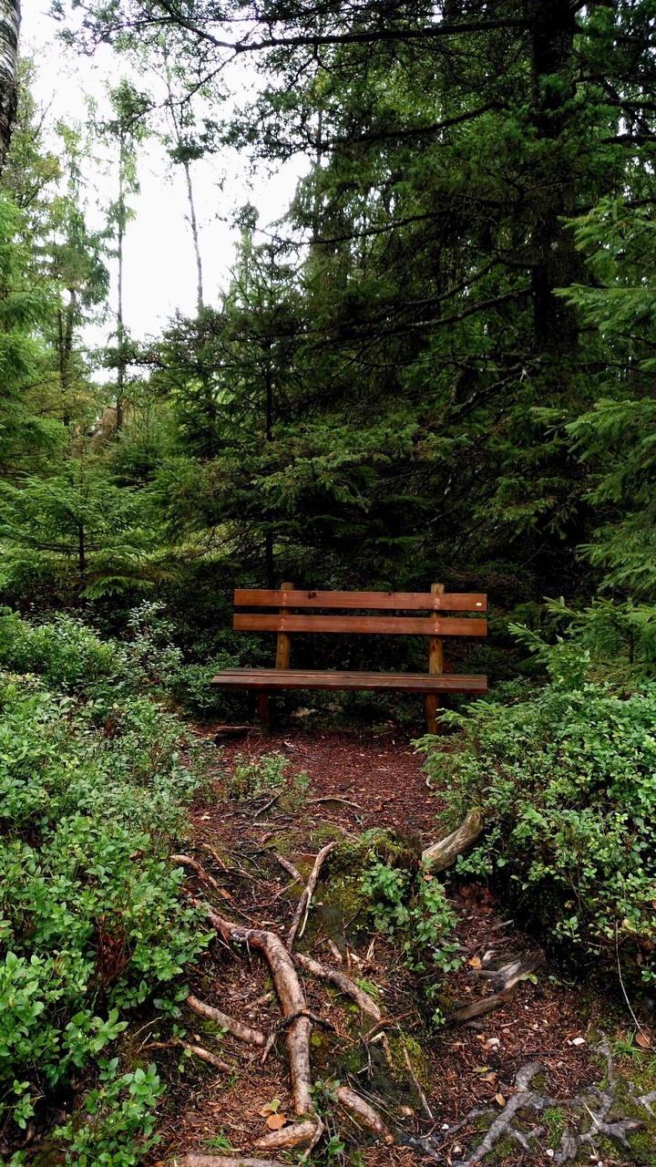 A place to think