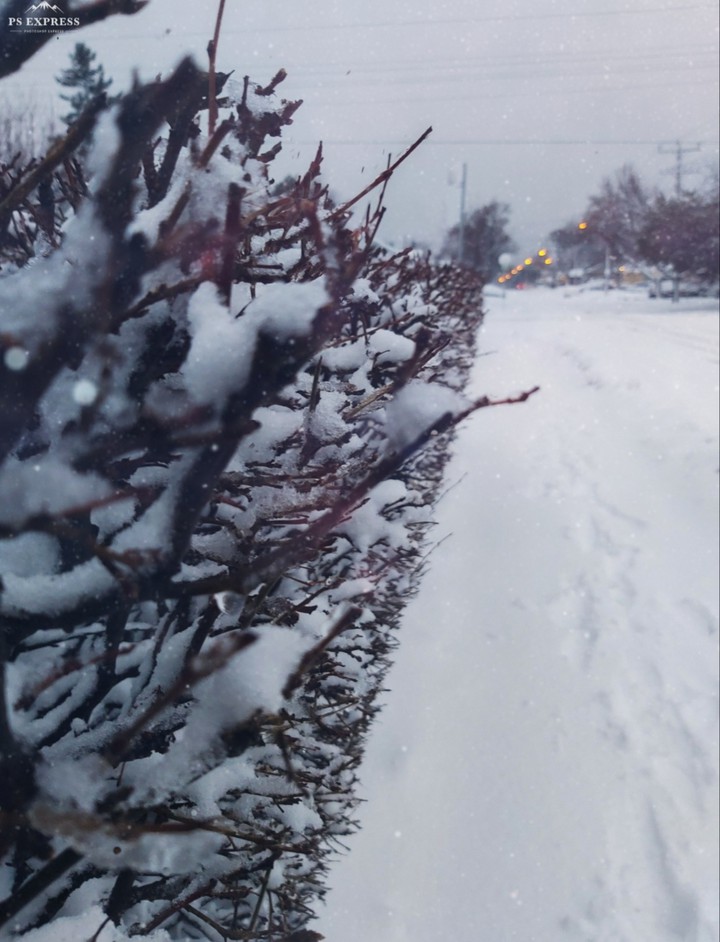 snow