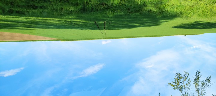 Grass blankiet, Dreams, Sky
