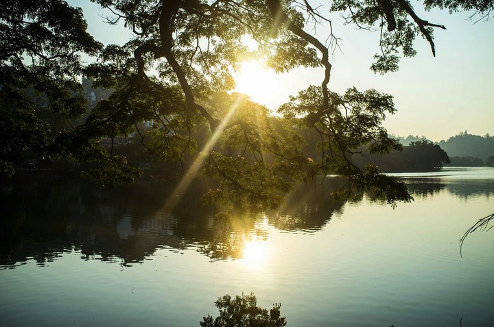 Spring Sun