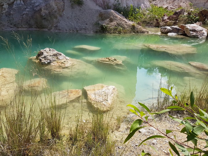 stag water
