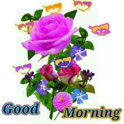 amazing edited flowers
