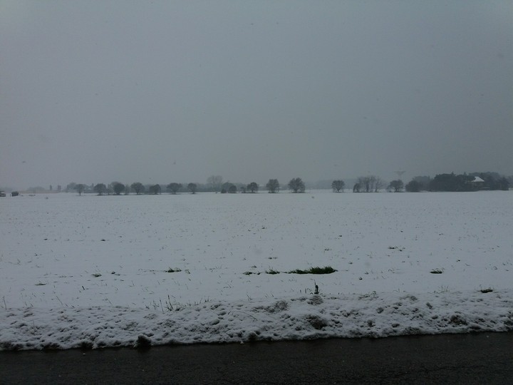 NEVE