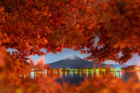 tapety evening, Orange