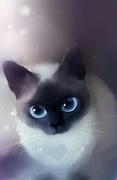 kat
