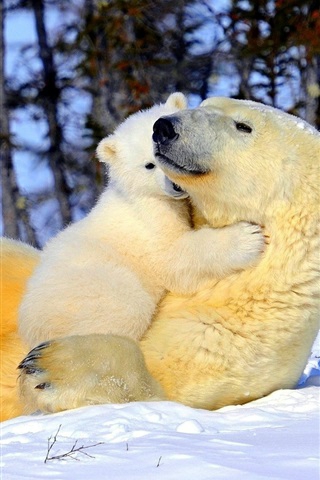 cuddling