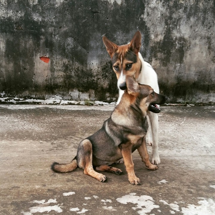 true love