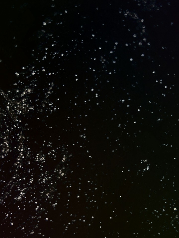 Night Sky