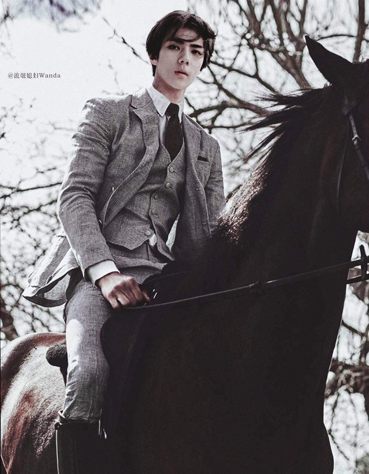 EXO Se Hun