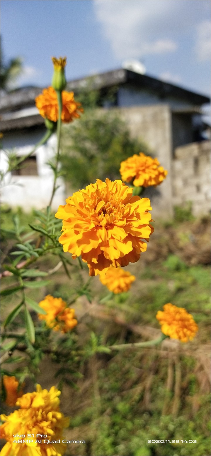 my photography