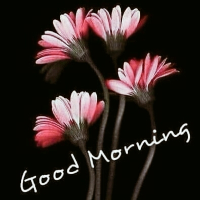 Morning_Flower