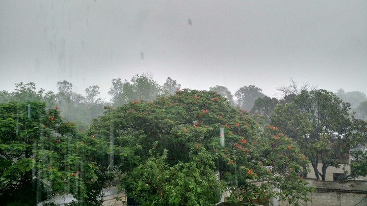 Rain