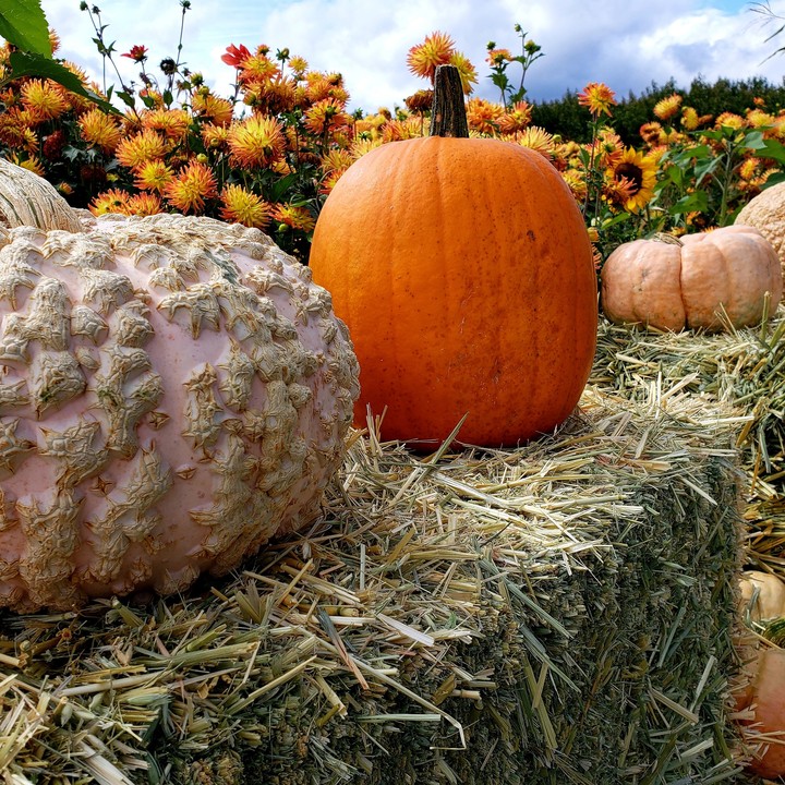 Fall