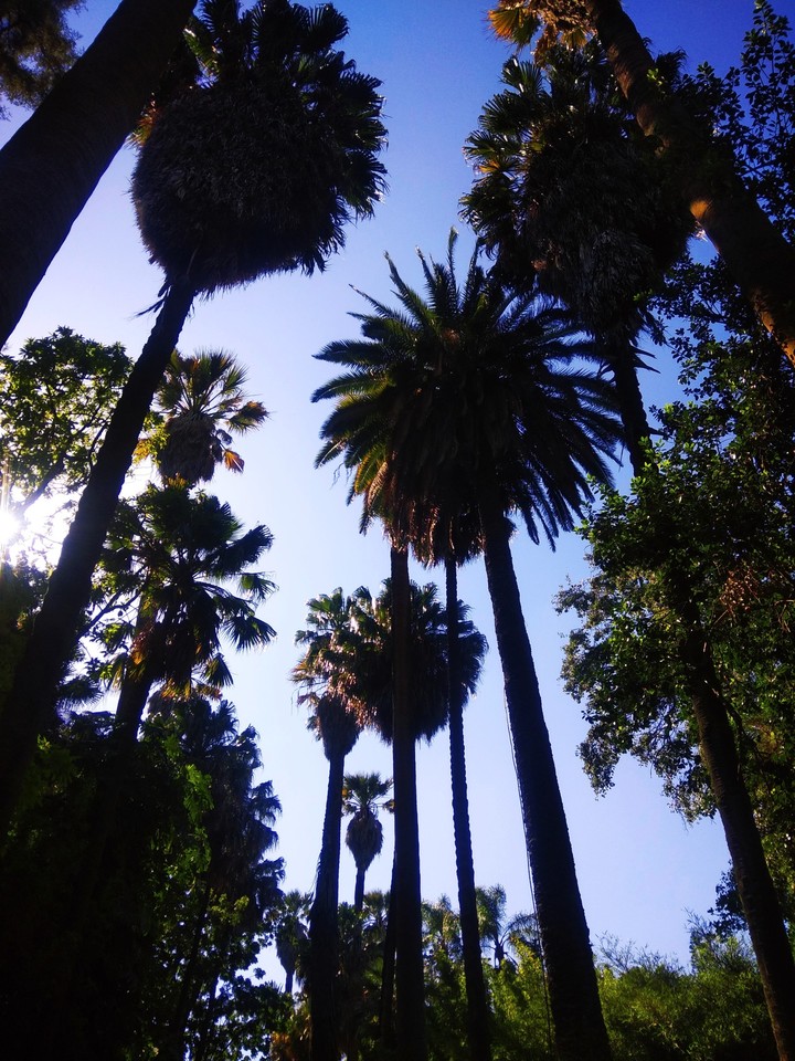 botanical garden ?