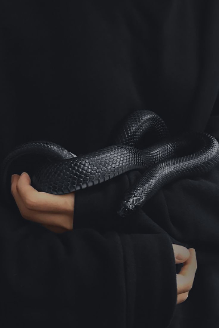 BLVCK Paris
