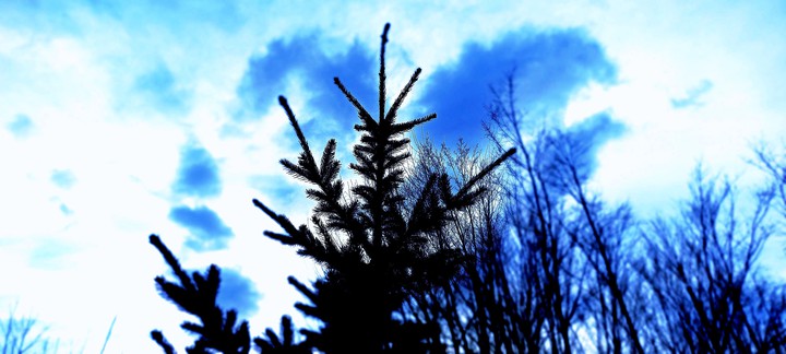 Sky