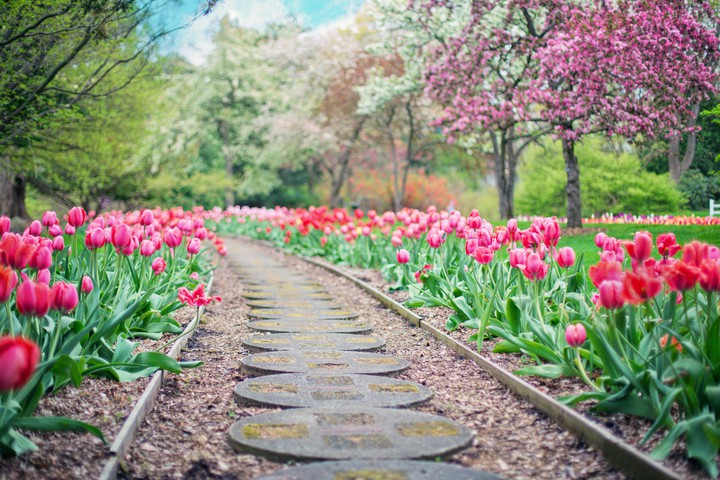 WAY TO FEEL THE NATURE!