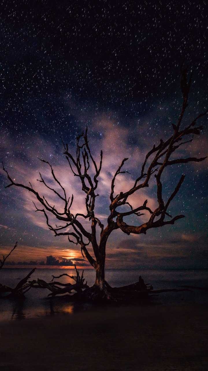 Amazing 