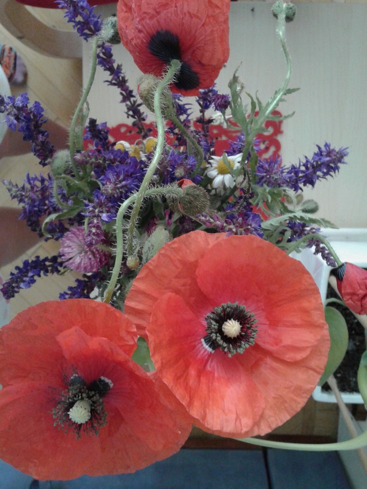 flowers ♥♡