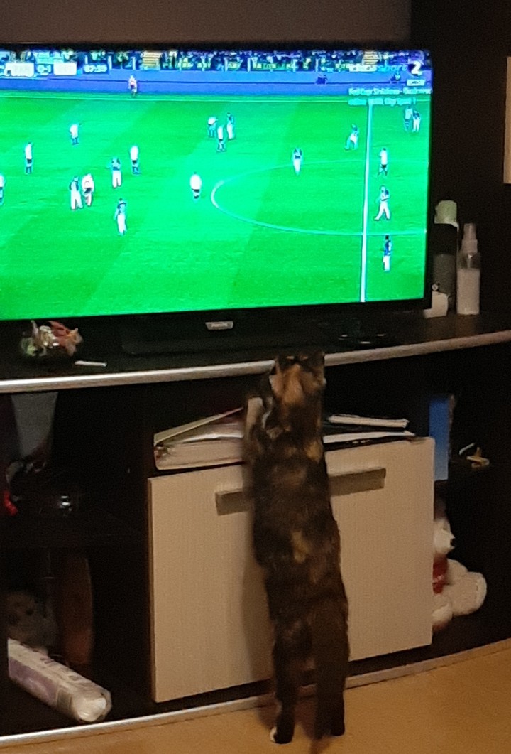 la fotbal