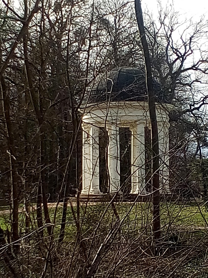 anderer wingel.