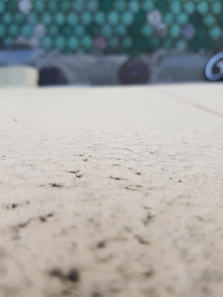 wall