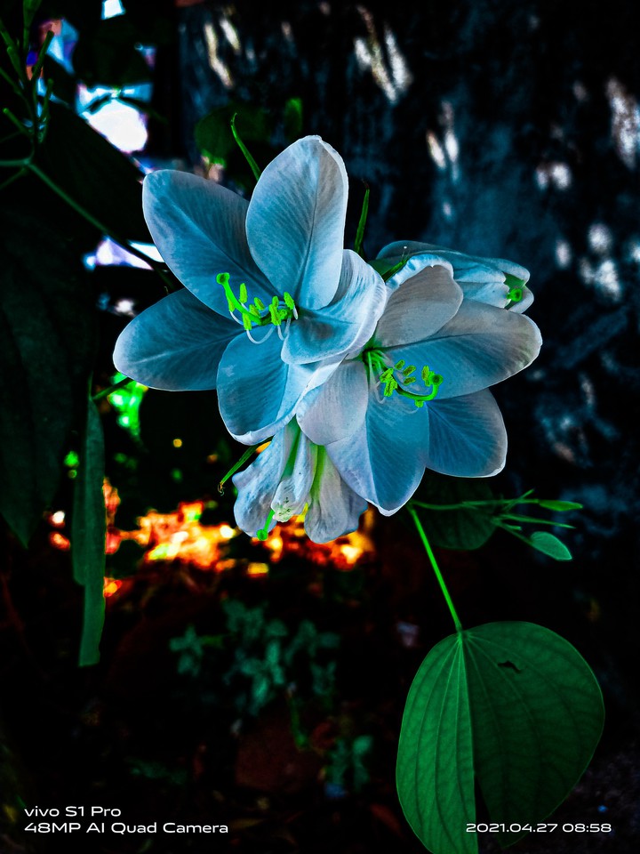 my click