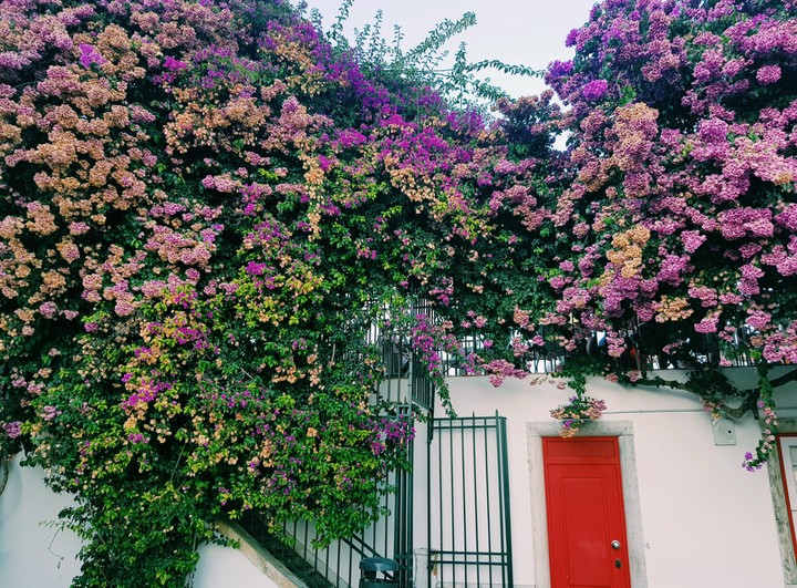 casita