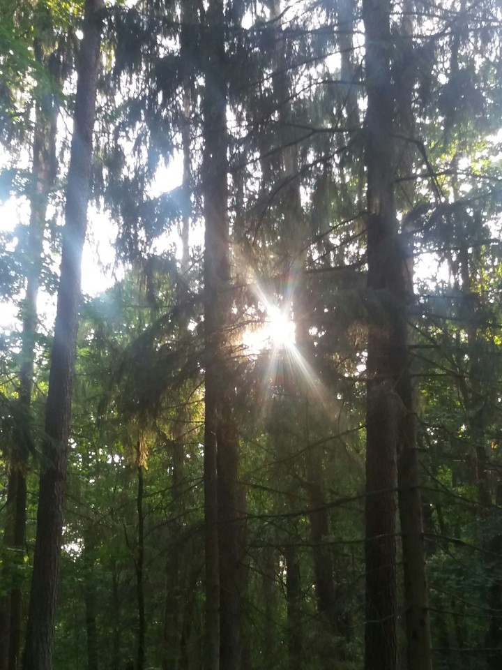 Nature