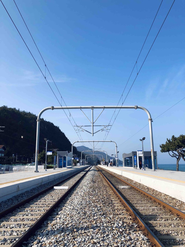 The Rail way