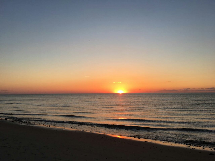 Cape Cod
