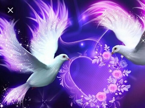 White & violet