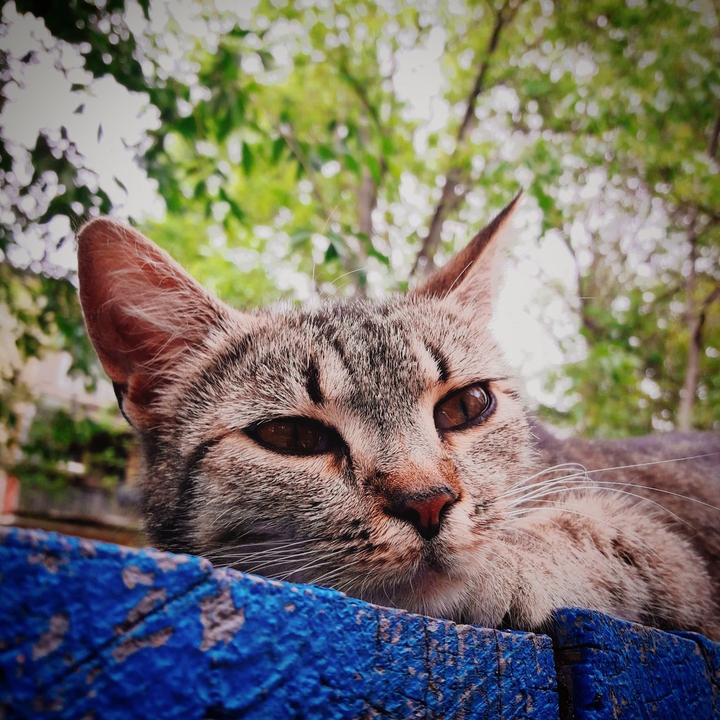 :з