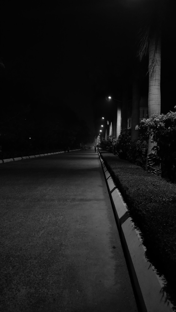 night views