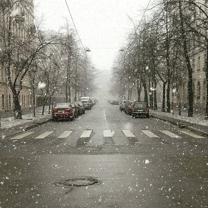 весна в питере