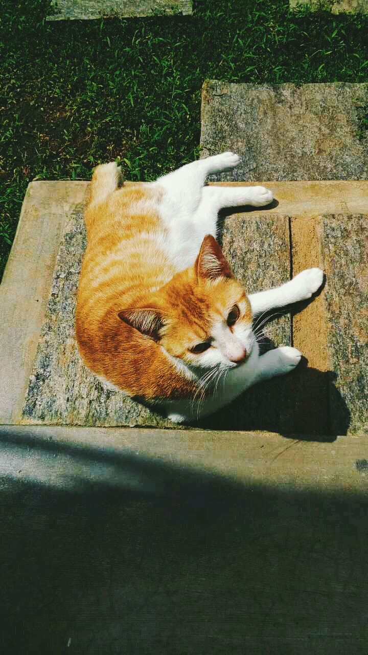 laziness