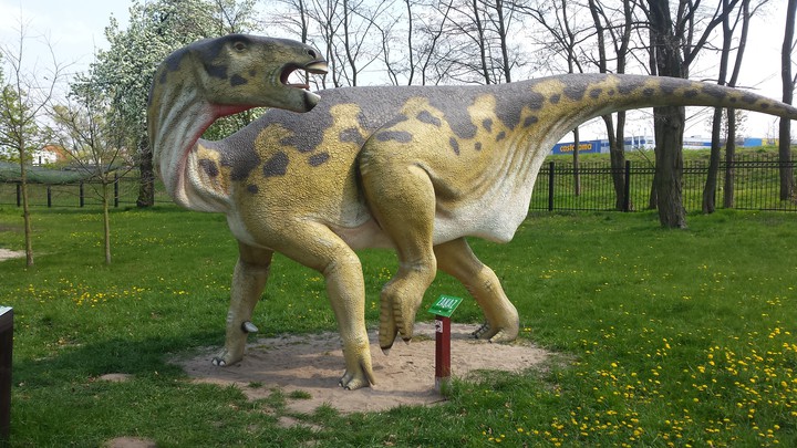 dino