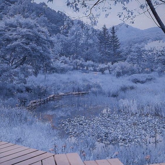 ~♡-Blue-♡~