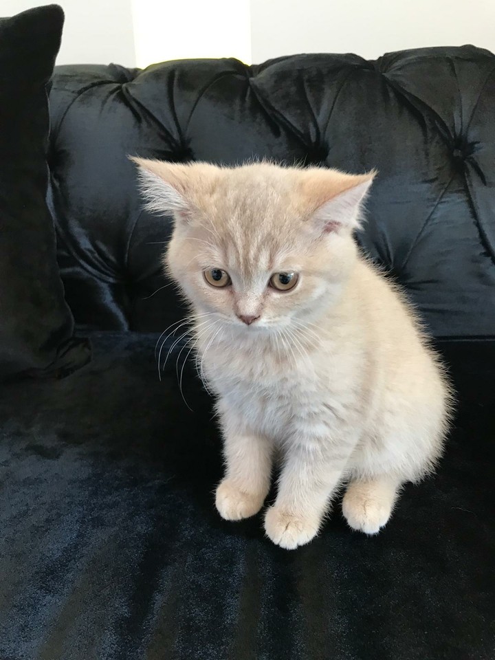 minik miyaaavvv.