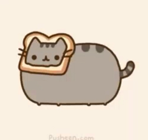 pusheen